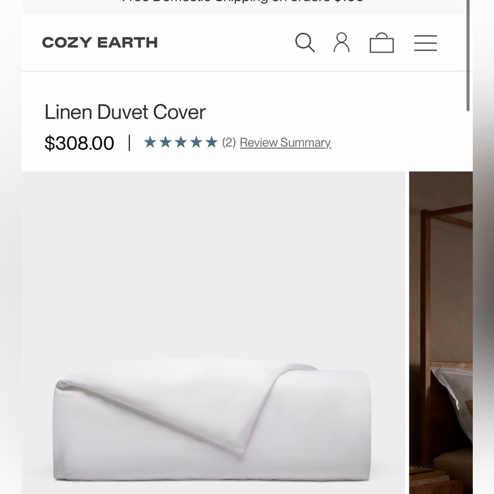 Cozy Earth King Size Linen Duvet Cover